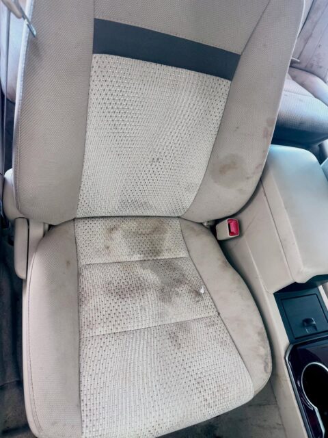 This one tested me 💪

One of the worst interiors I’ve worked on so far. Black mold, spilled drinks everywhere, layers of dirt… and some stuff I couldn’t even identify 😅

Total time: 7 hours just extracting seats and carpets.
Everything was pre-treated, soaked in a strong 12.5 pH solution, heavily steamed, deep agitated, and thoroughly extracted.

Yes — a LOT of steam was involved ♨️
Heat + proper chemistry + extraction = real results.

The difference speaks for itself.
About 80% of the stains are completely gone — the remaining 20% is permanent fabric damage from long-term neglect.

This is why regular maintenance matters. What sits in your seats is more than just “dirt.”

👉 Swipe to see the transformation.

If your interior needs a reset, Apex Detailing is ready.

#cardetailing #interiordetailing #deepclean #seatextraction #carpetcleaning steamcleaning moldremoval apexdetailing